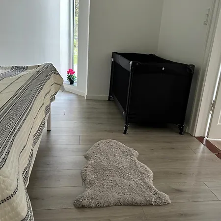 Apartment Luxury Curchi 2