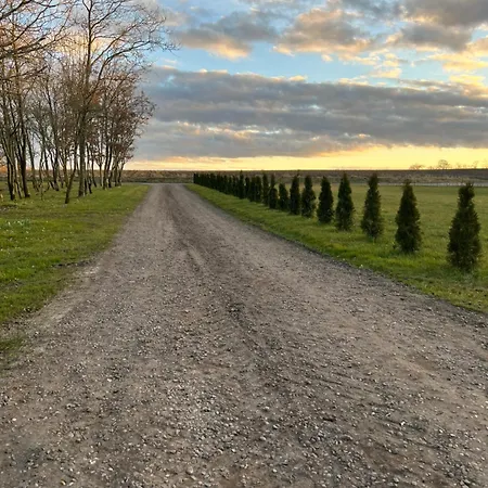 Luxury Curchi 2 Apartman