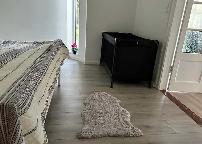 Daire Luxury Curchi 2