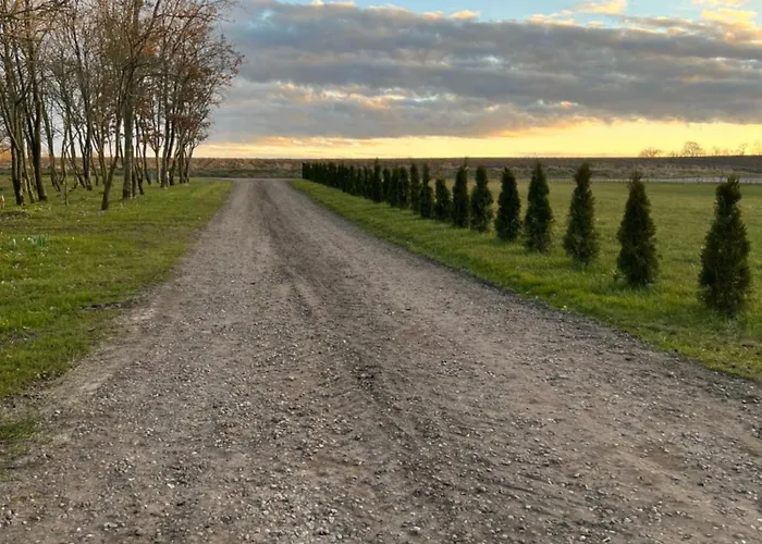 Luxury Curchi 2 Daire